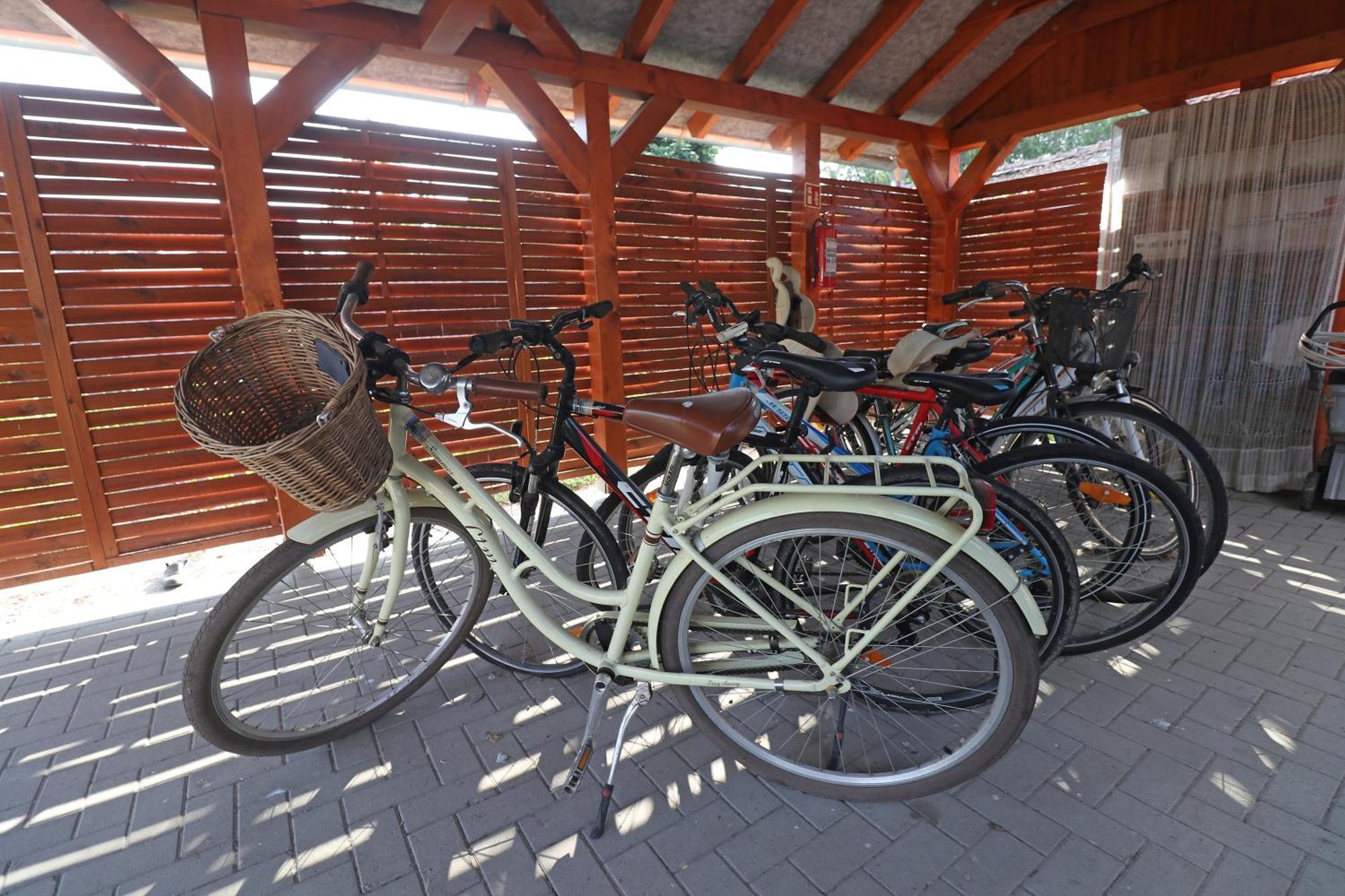 Fuezesi Papa Vendeghaza Hotel Harta Екстериор снимка