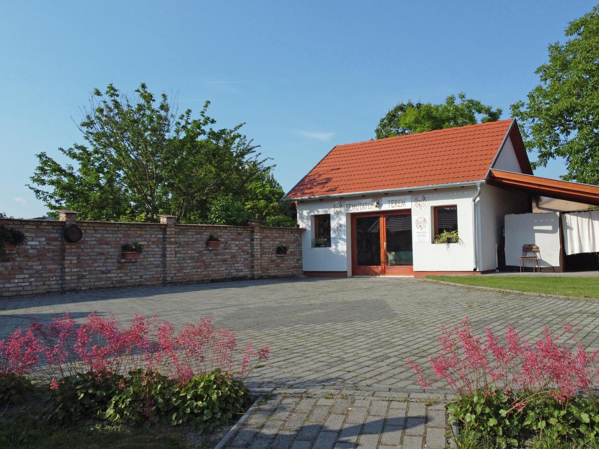 Fuezesi Papa Vendeghaza Hotel Harta Екстериор снимка